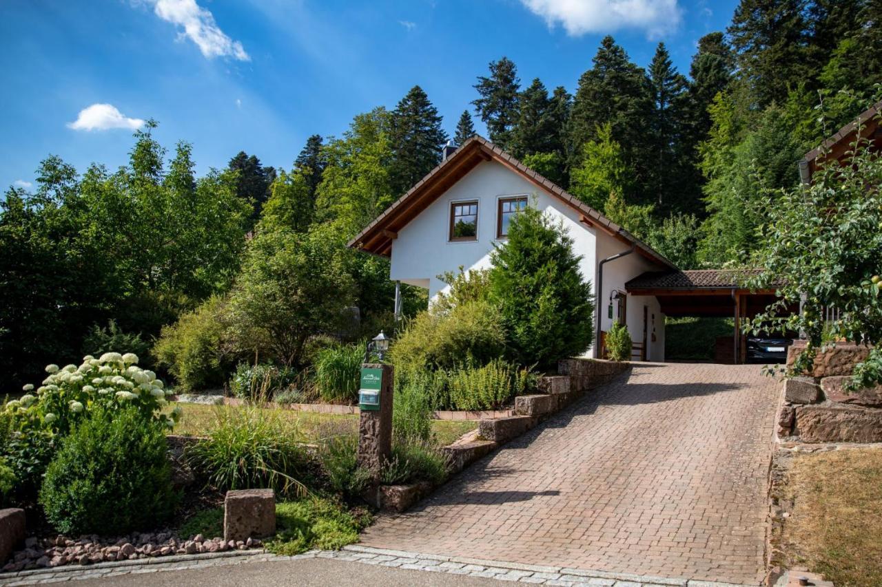 Schwarzwald Chalets Freudenstadt Exteriér fotografie